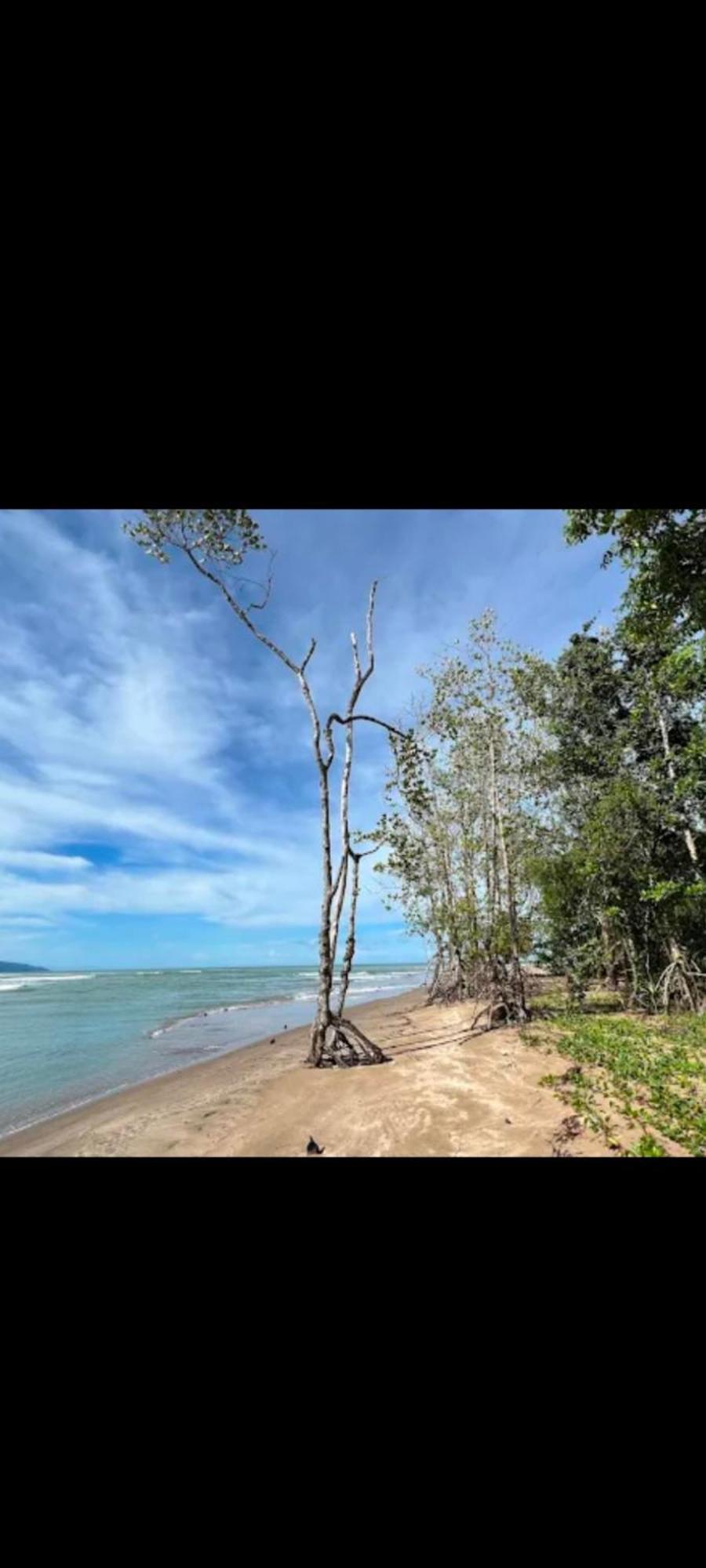 Villa The Mangrove Sematan Exterior foto